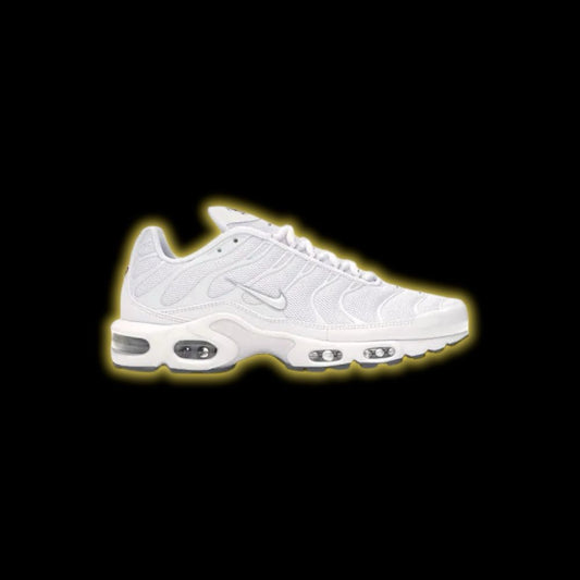 Nike Air Max Plus TN White